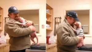 Uomo trova cucciolo morente, lo soccorre e lo accoglie nella sua famiglia (VIDEO)